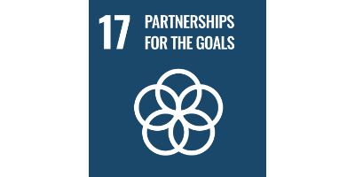 SDG goal 17