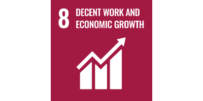 SDG goal 8